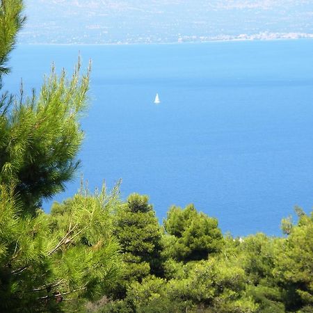 Studio Xanthippe Kalamos Rom bilde